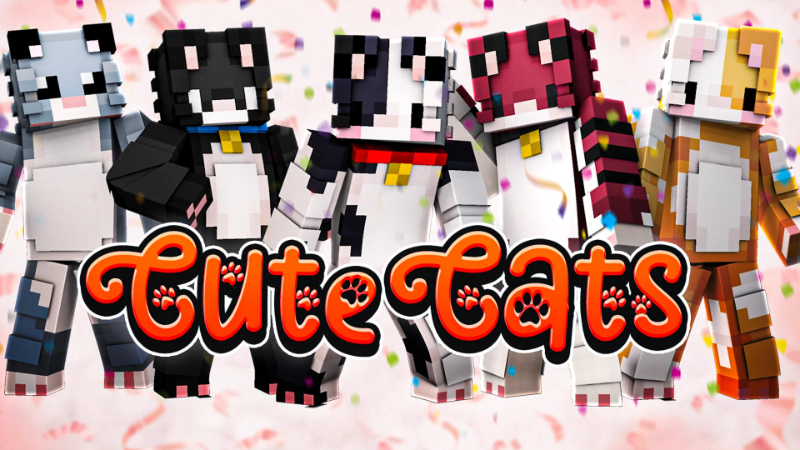 Cute Cats